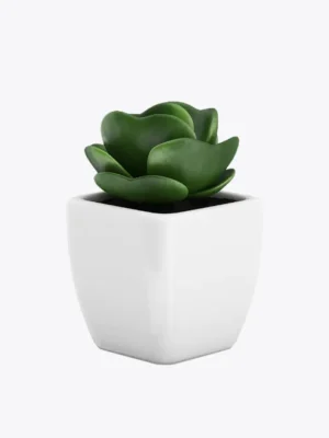 product-image-9_optimized